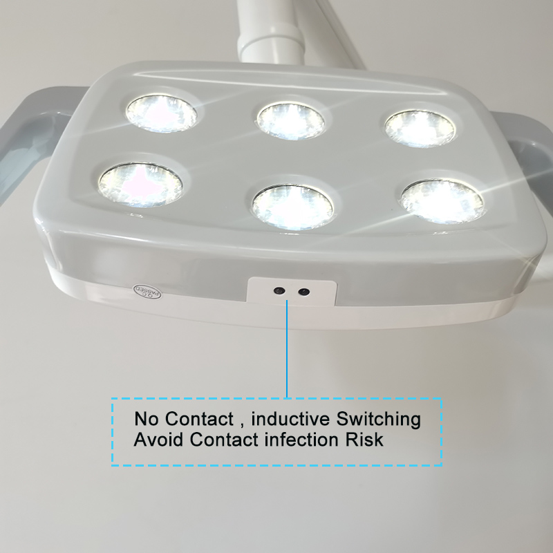 6LED Dental LED Lamp Oral Ligh - Teeth Whitening Dental ulasan dan harga
