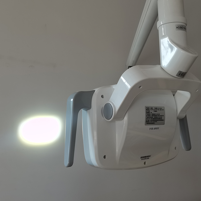 6LED Dental LED Lamp Oral Ligh - Teeth Whitening Dental ulasan dan harga