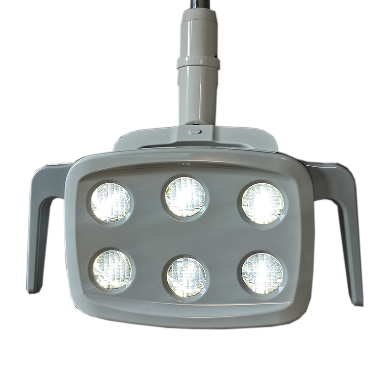 6LED Dental LED Lamp Oral Ligh - Teeth Whitening Dental ulasan dan harga
